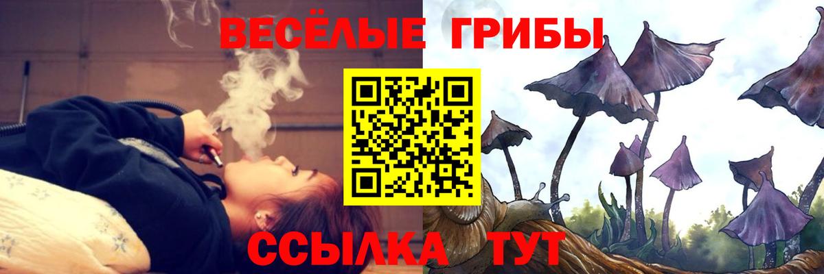Галлюциногенные грибы ЛСД Камень-на-Оби